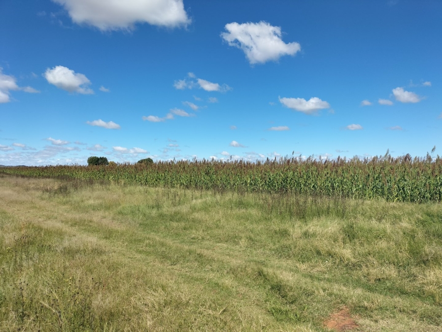 3 Bedroom Property for Sale in Bloemfontein Rural Free State